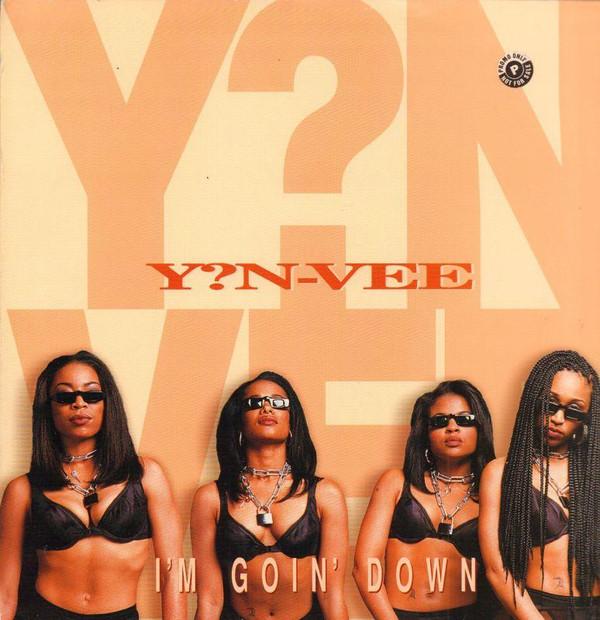Y.N.V. - I'm Goin' Down